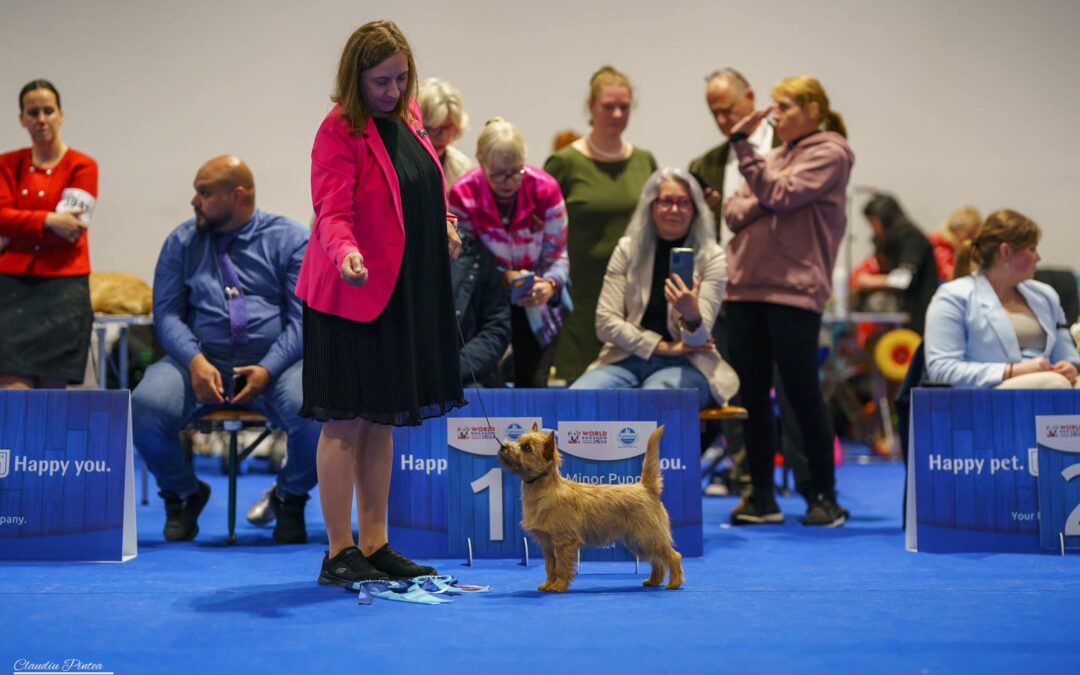 World Dog Show Zagreb 2024