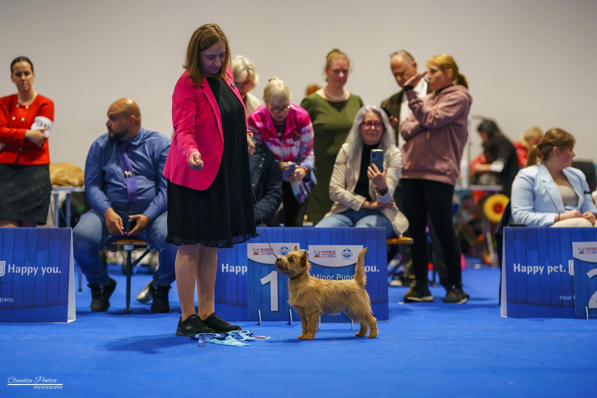 World Dog Show Zagreb 2024